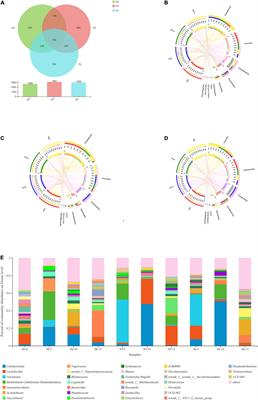 The Effect of Dietary Lactic Acid Bacteria on Intestinal Microbiota and Immune Responses of Crucian Carp (Carassius auratus) Under Water Temperature Decrease